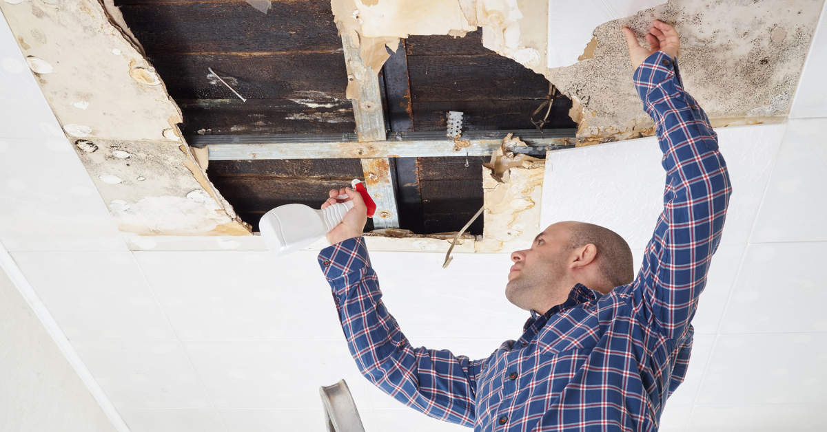 How to spot water damage before it becomes a bigger issue